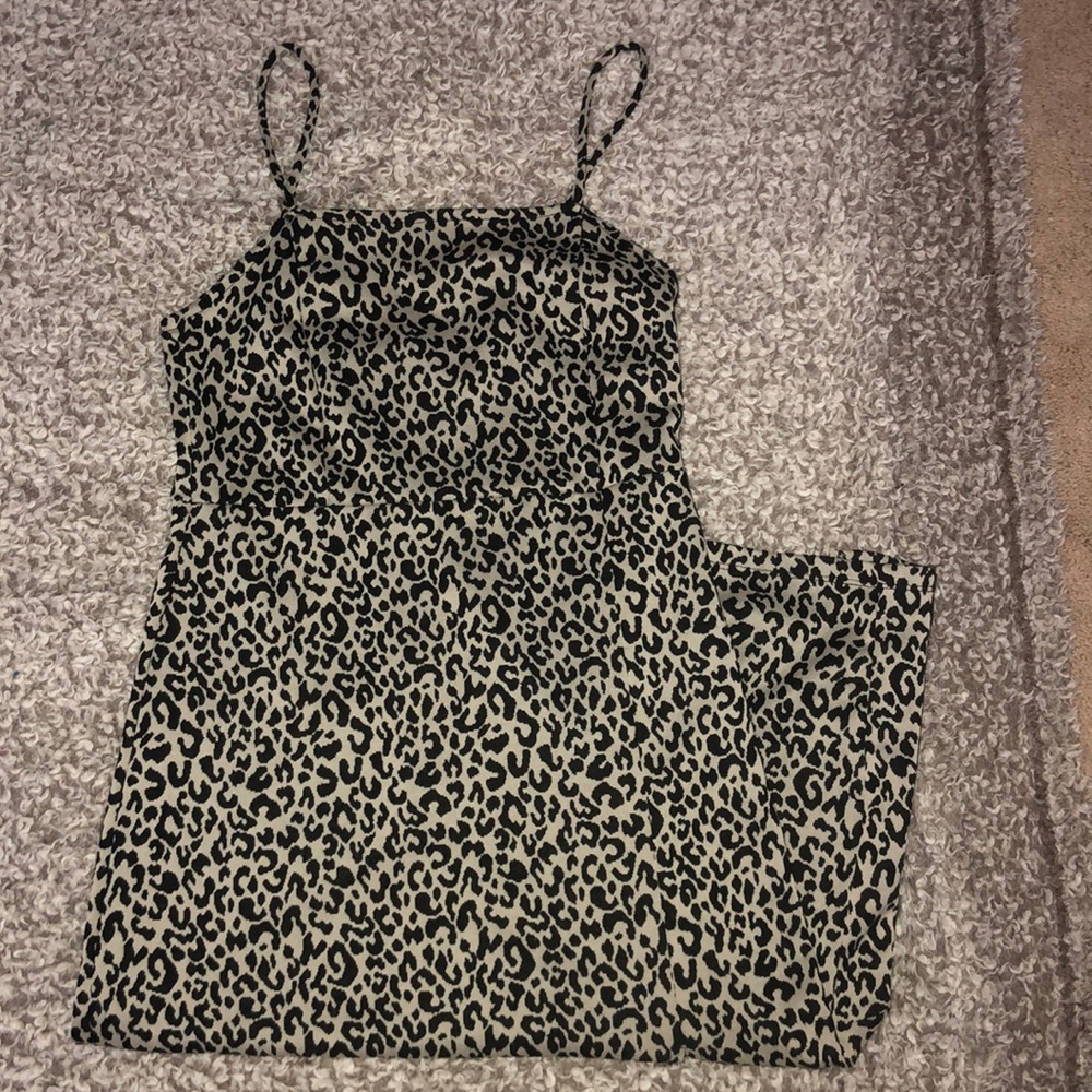 Zara Cheetah Print Dress